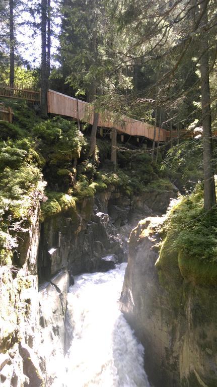 Haus Daniel Apartman Neustift im Stubaital Kültér fotó